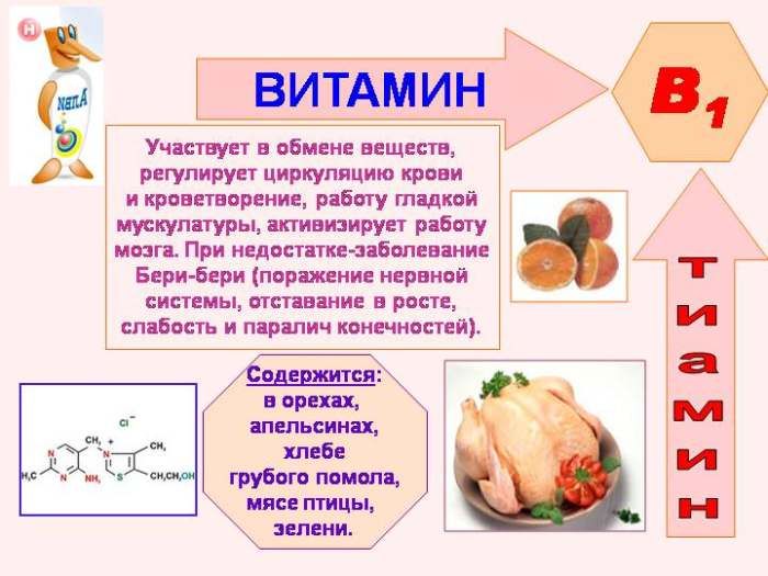 Особине витамина Б1